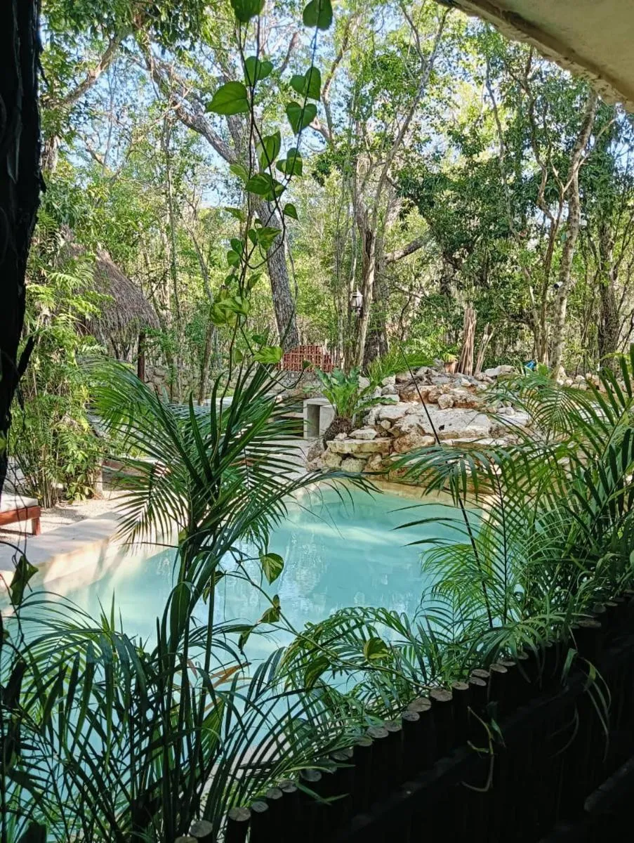 Image 5 of Agua & Selva luxury Jungle loft