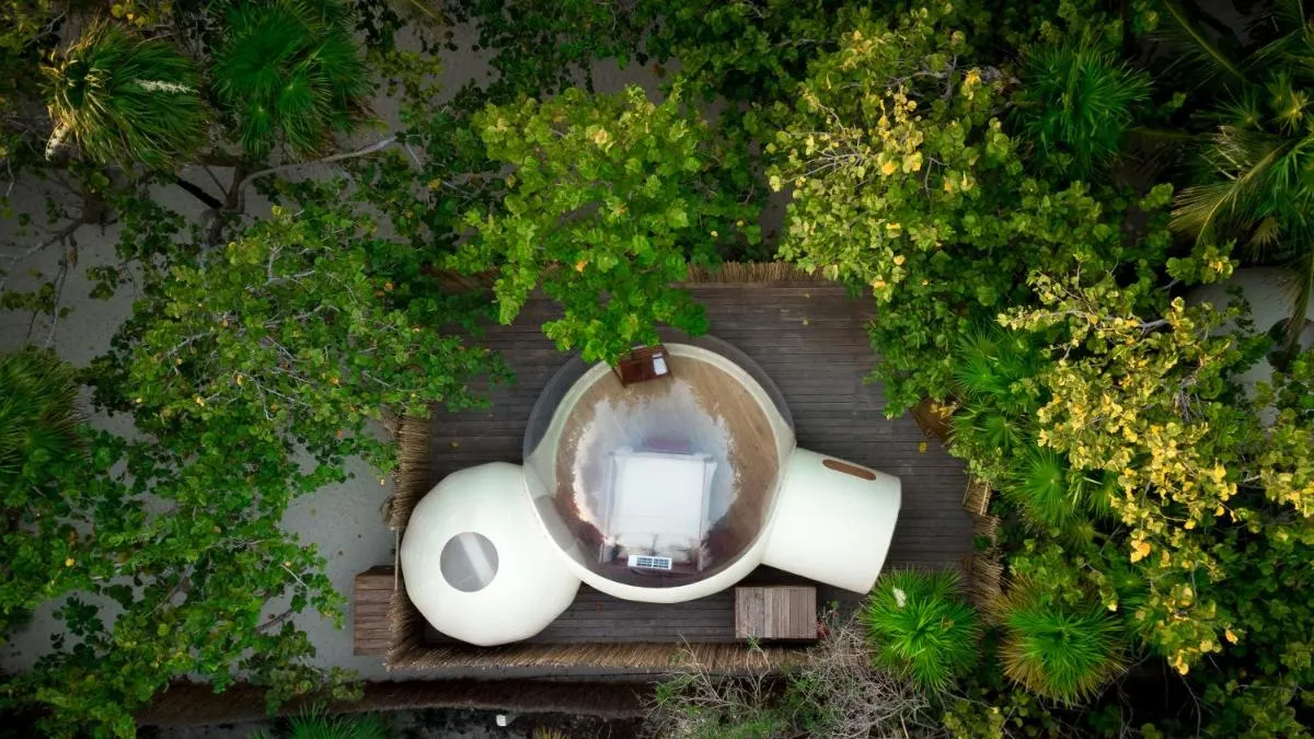 Image of Astral Tulum
