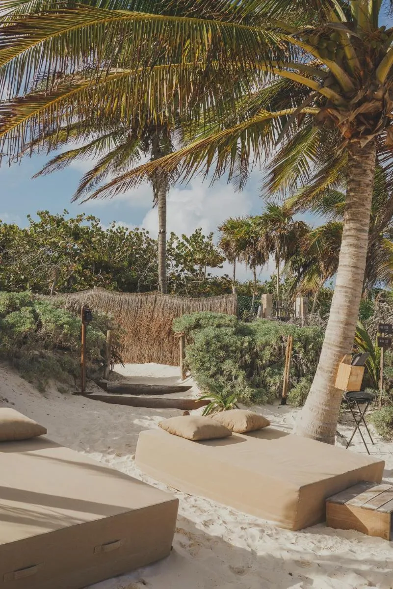 Image 4 of Astral Tulum