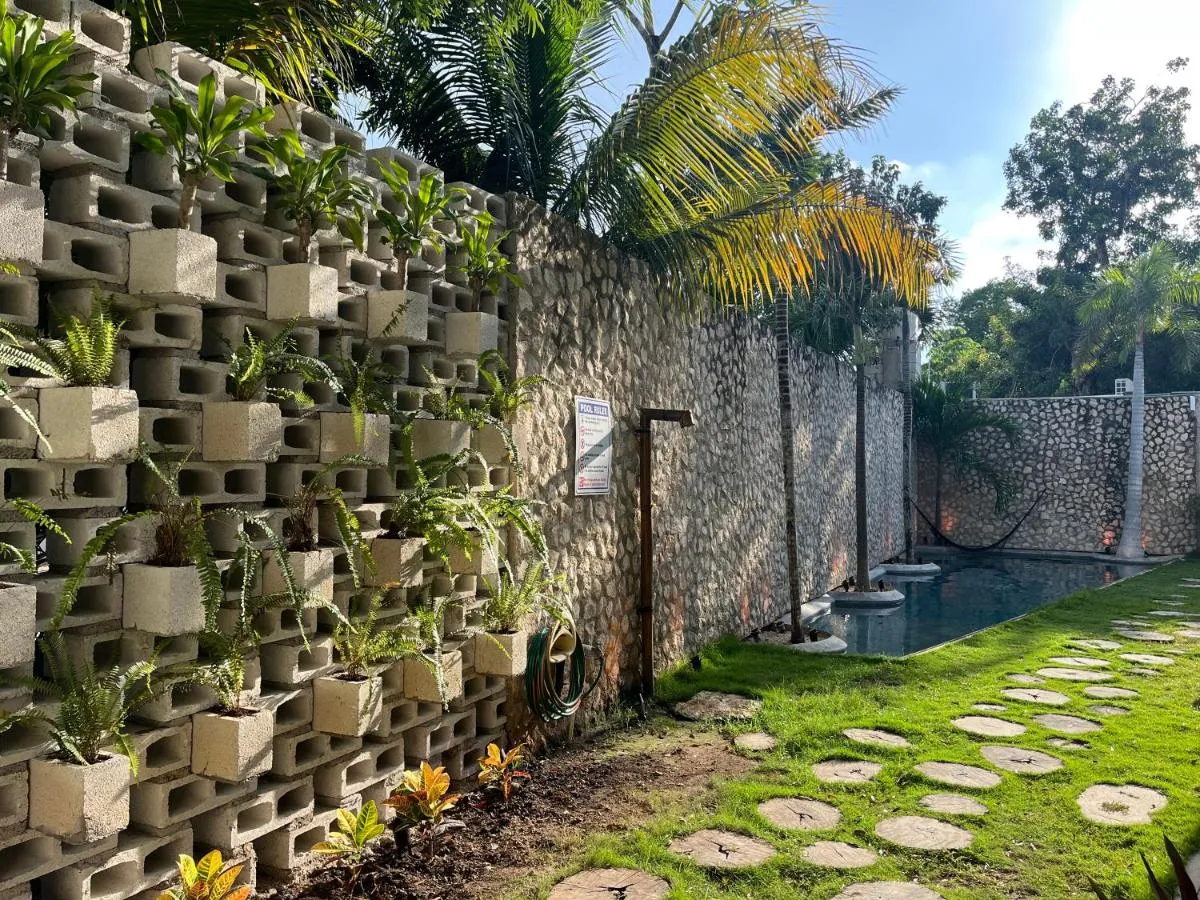 Image 2 of BAU Tulum