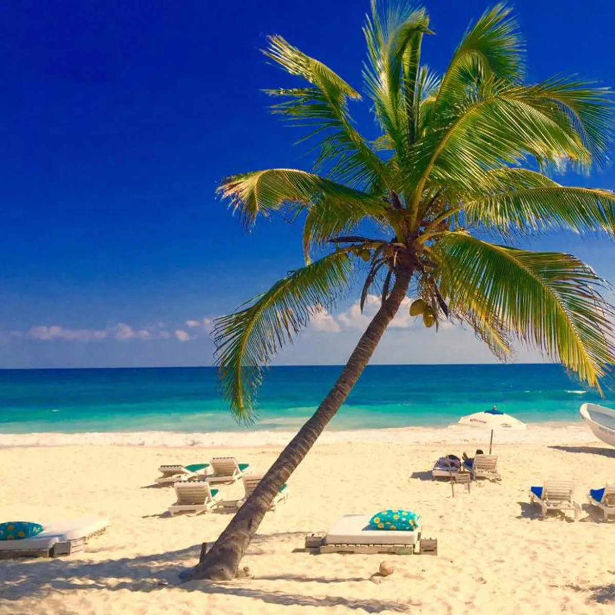 Image 4 of La Conchita Tulum