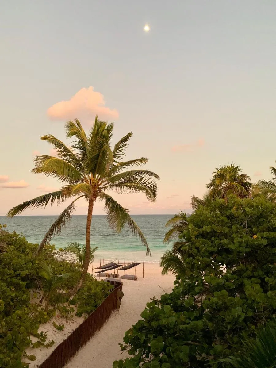 Image 3 of Libelula Tulum Beachfront Hotel