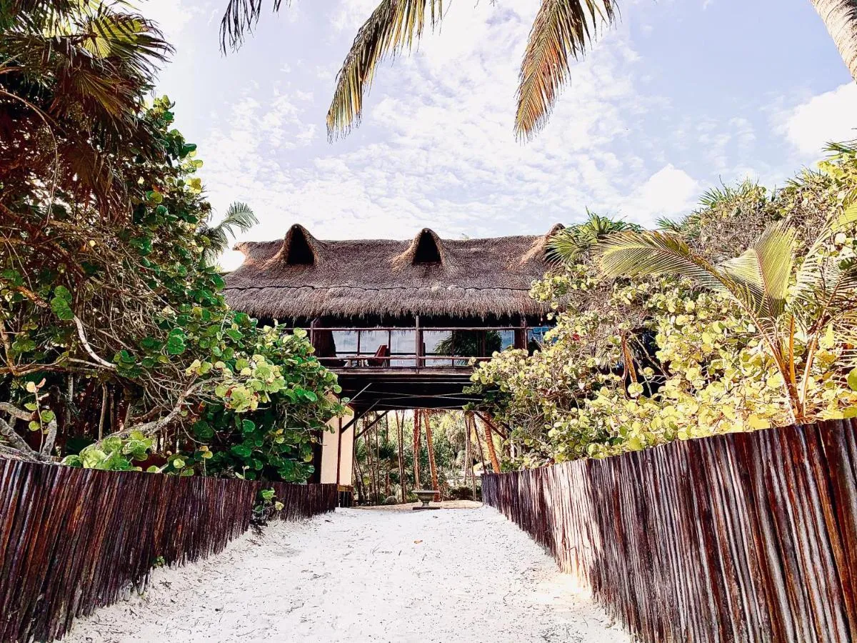 Image 5 of Libelula Tulum Beachfront Hotel