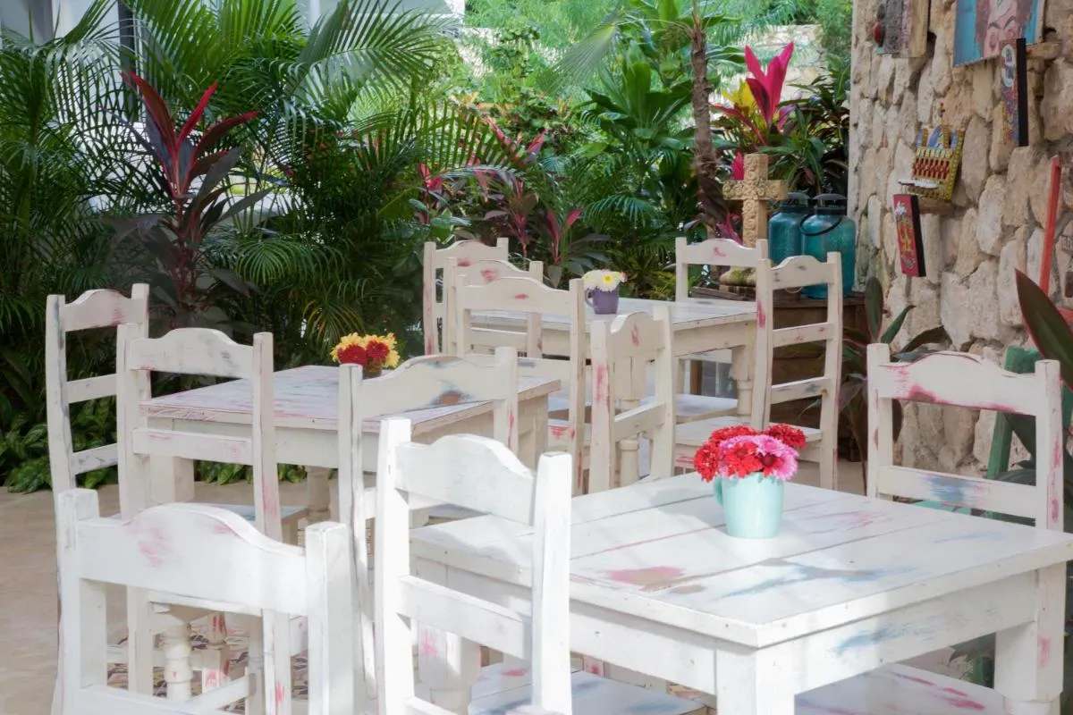 Image 4 of LiveTulum