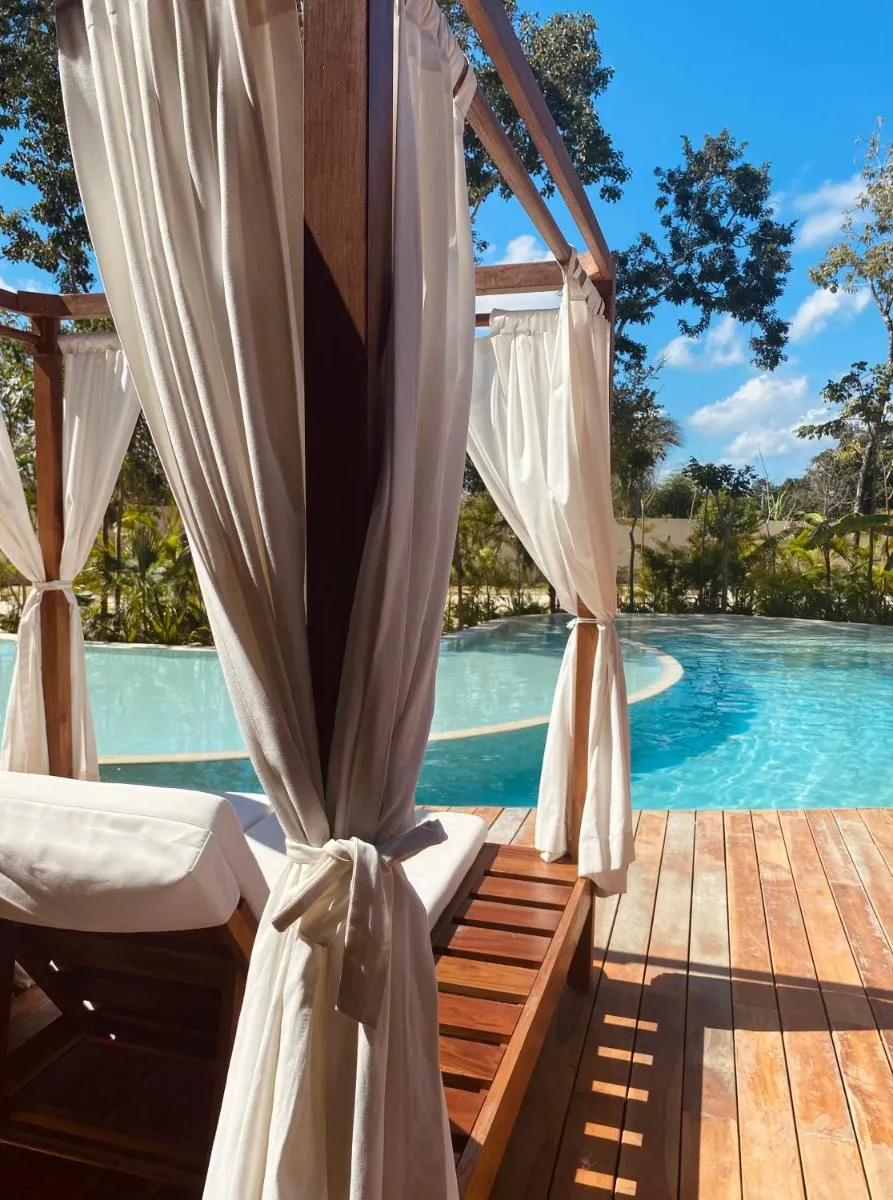 Image 3 of Luxurious Jungle Studio