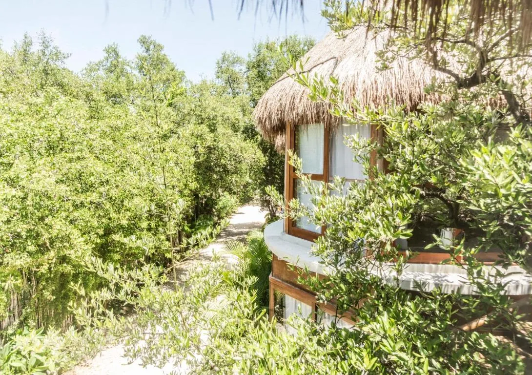 Image of Mamasan Treehouses & Cabins