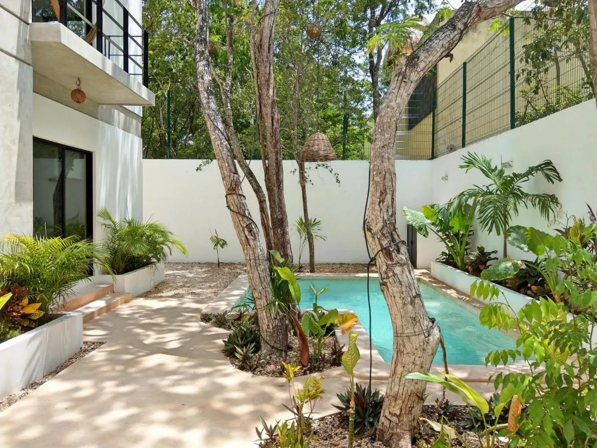 Image 2 of Mi Tulum