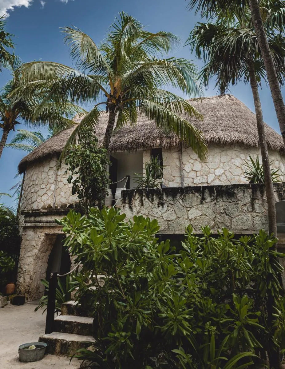 Image 6 of NEST Tulum
