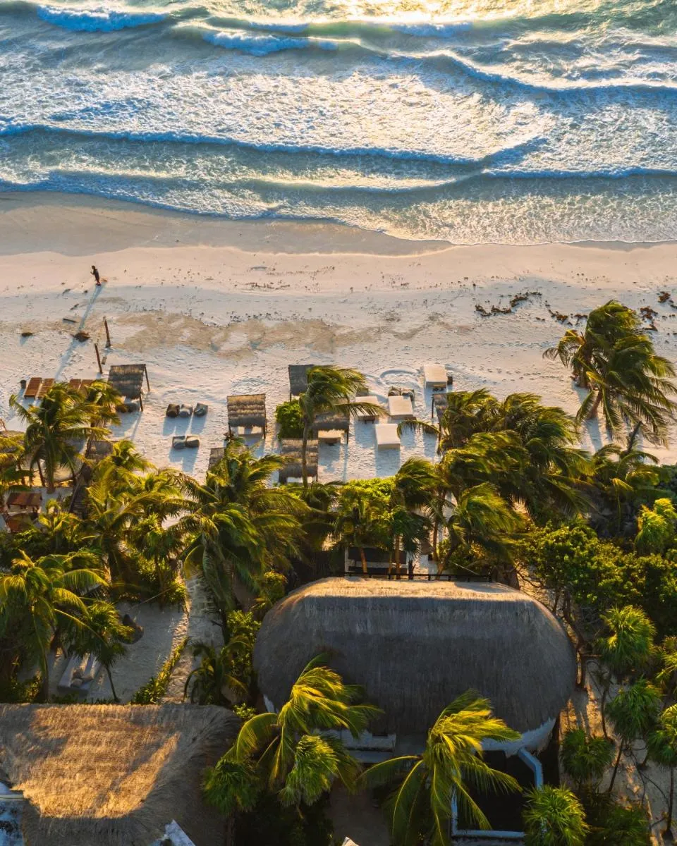 Image 5 of NEST Tulum