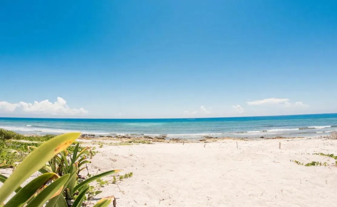 Image 3 of Oceanside Retreat, Pool, Beach Access, Sleeps 6