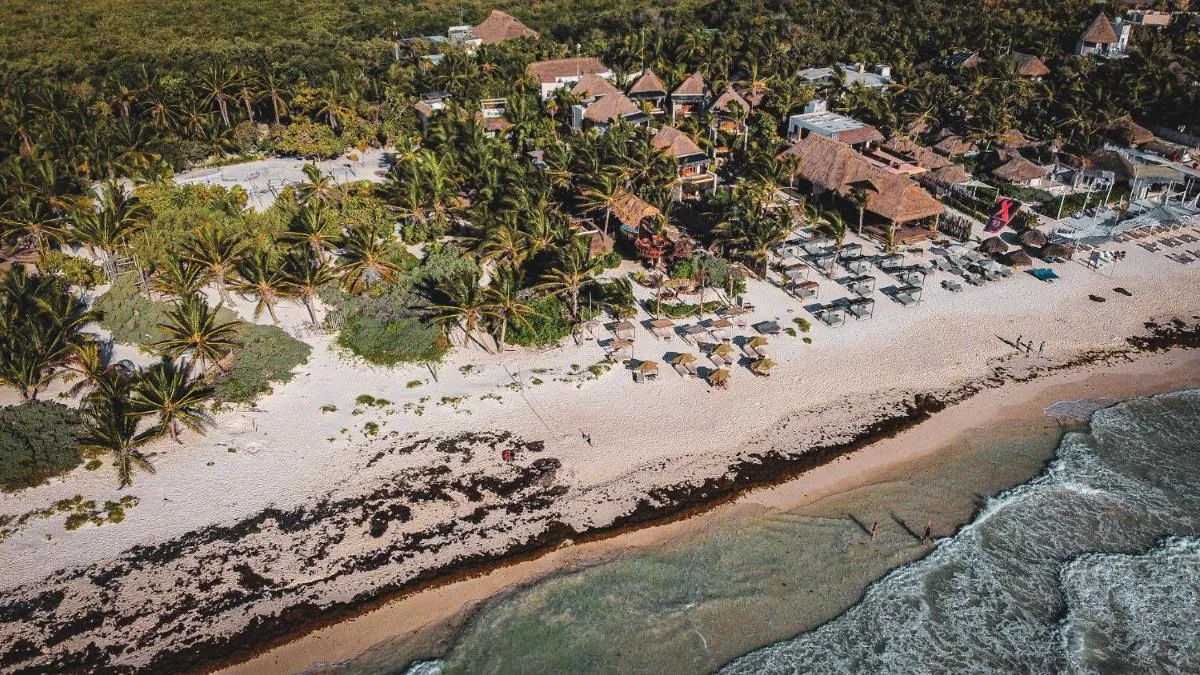 Image 2 of Orchid House Tulum Beach