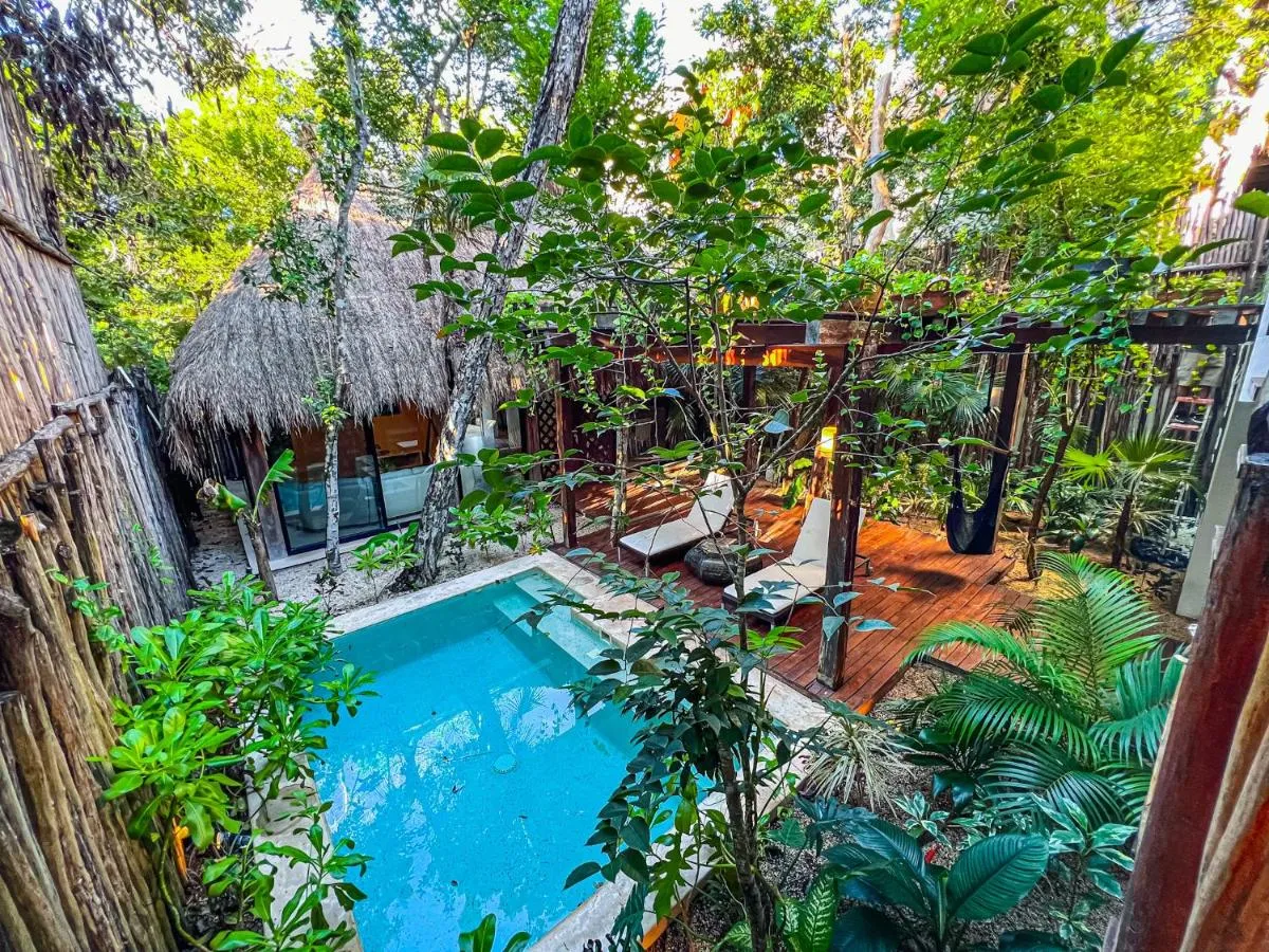 Image 1 of Orchid House Tulum Jungle