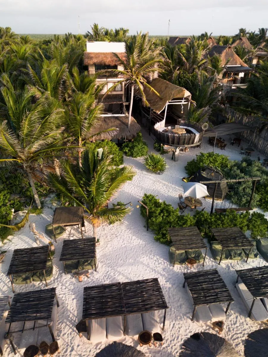 Image 4 of Orchid House Tulum Jungle