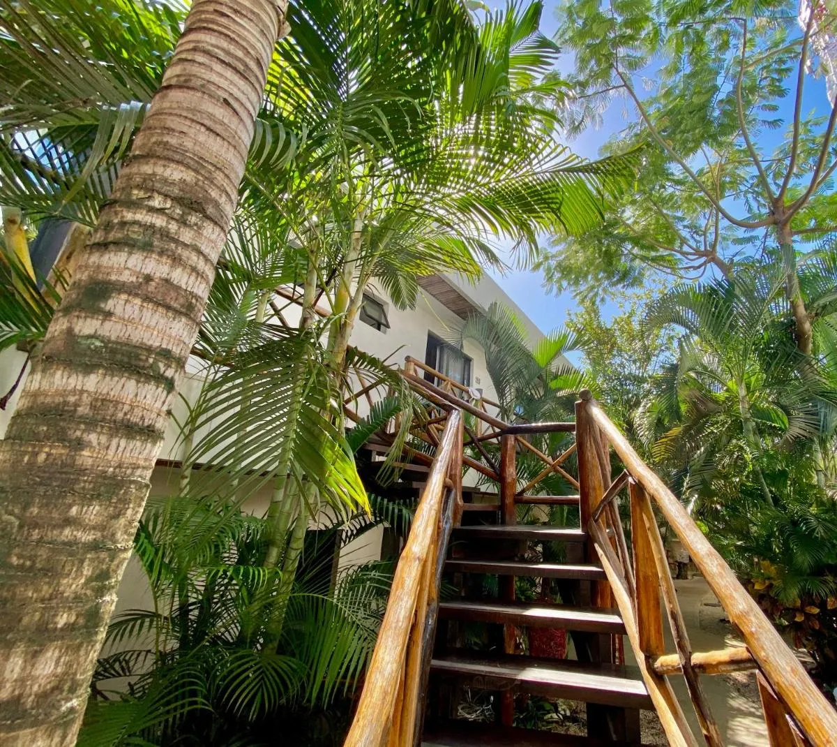 Image 2 of Pacha Tulum