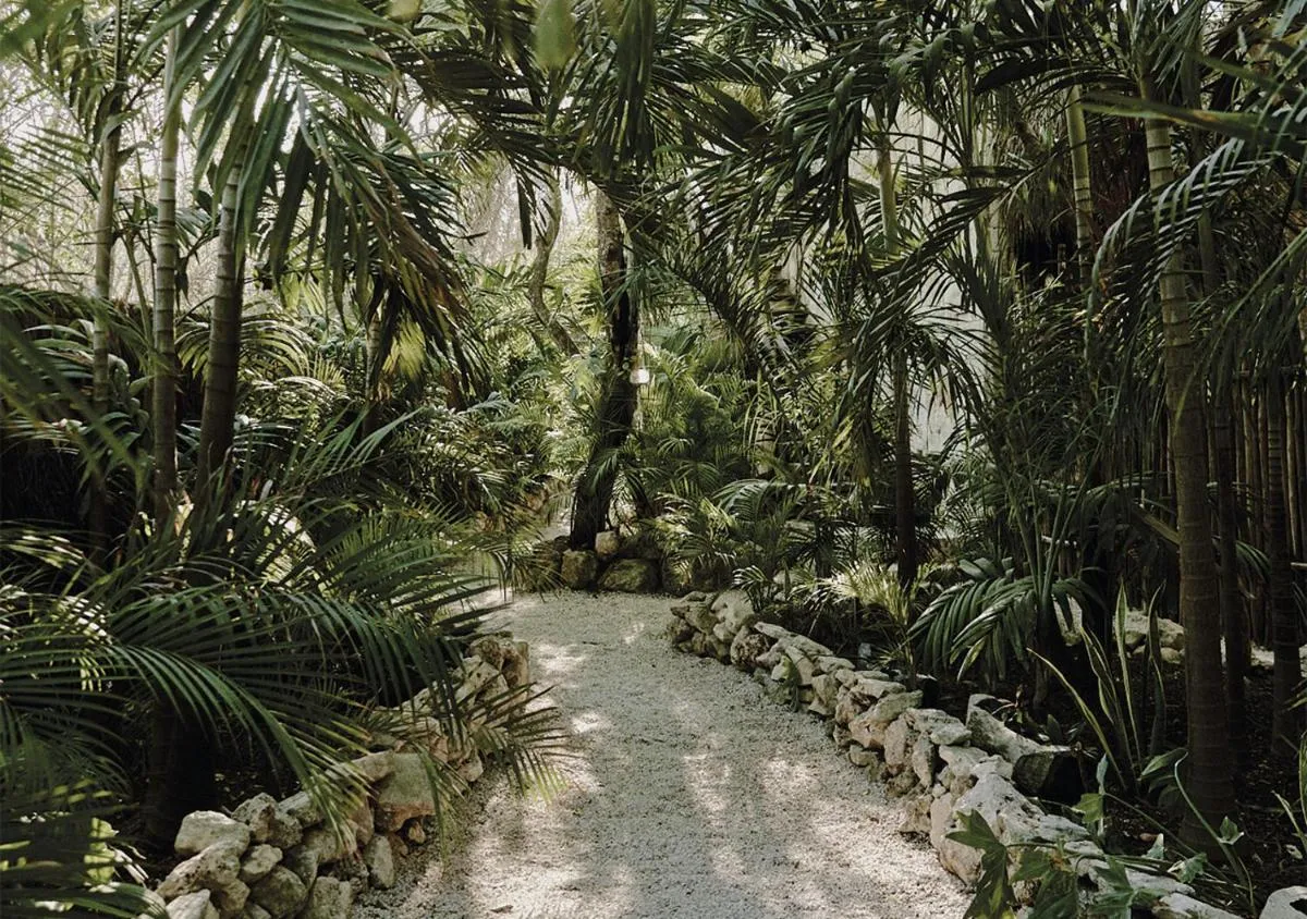 Image 4 of Una Vida