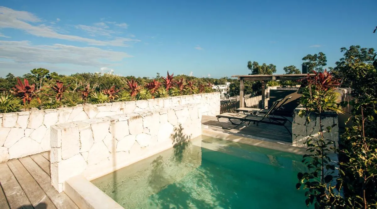 Image 2 of Vida Jungle Apart 1 with special fee to access Hotel Bardo
