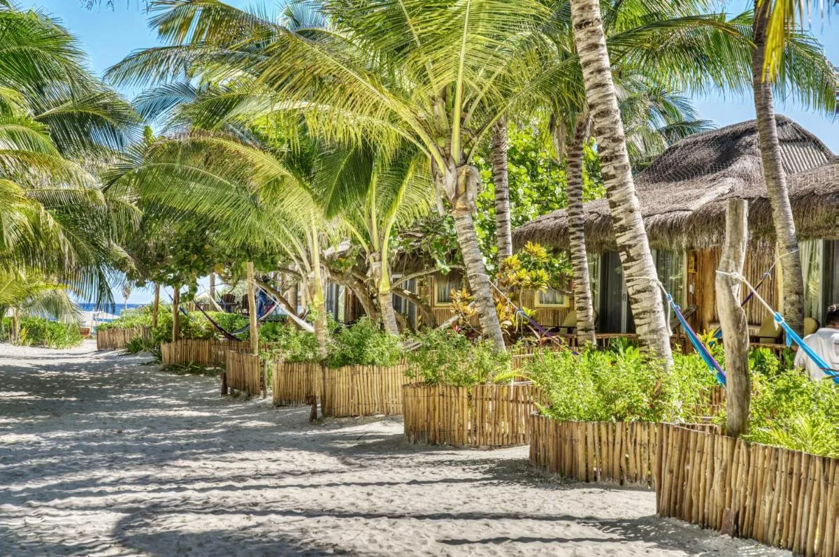 Image 4 of Villa Pescadores Tulum