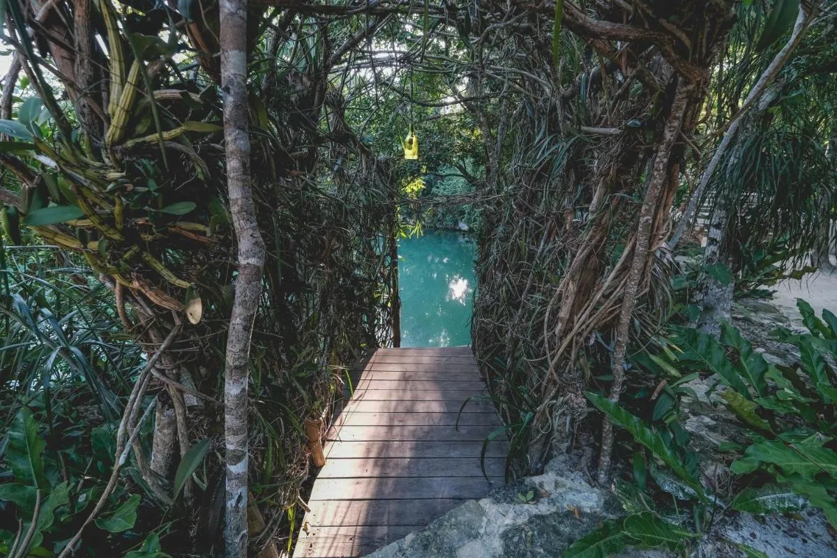 Image 3 of Wakax Hacienda – Cenote & Boutique Hotel