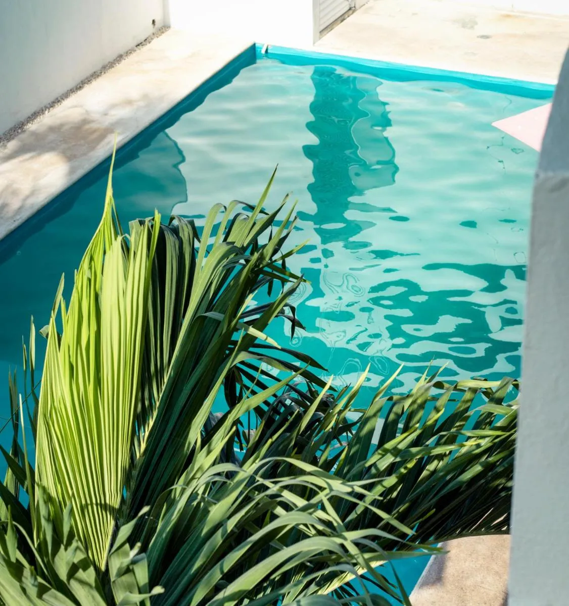 Image 3 of hotel stella maris tulum