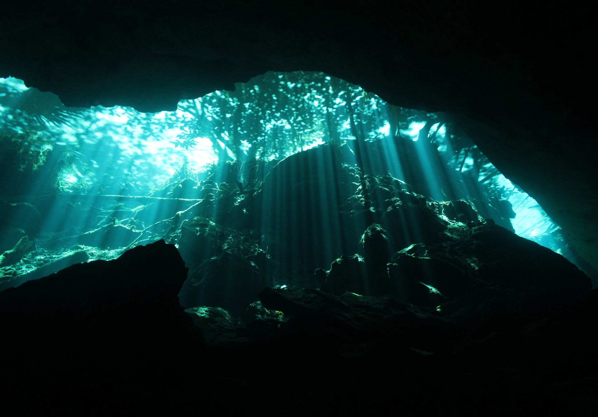 Cenote Diving