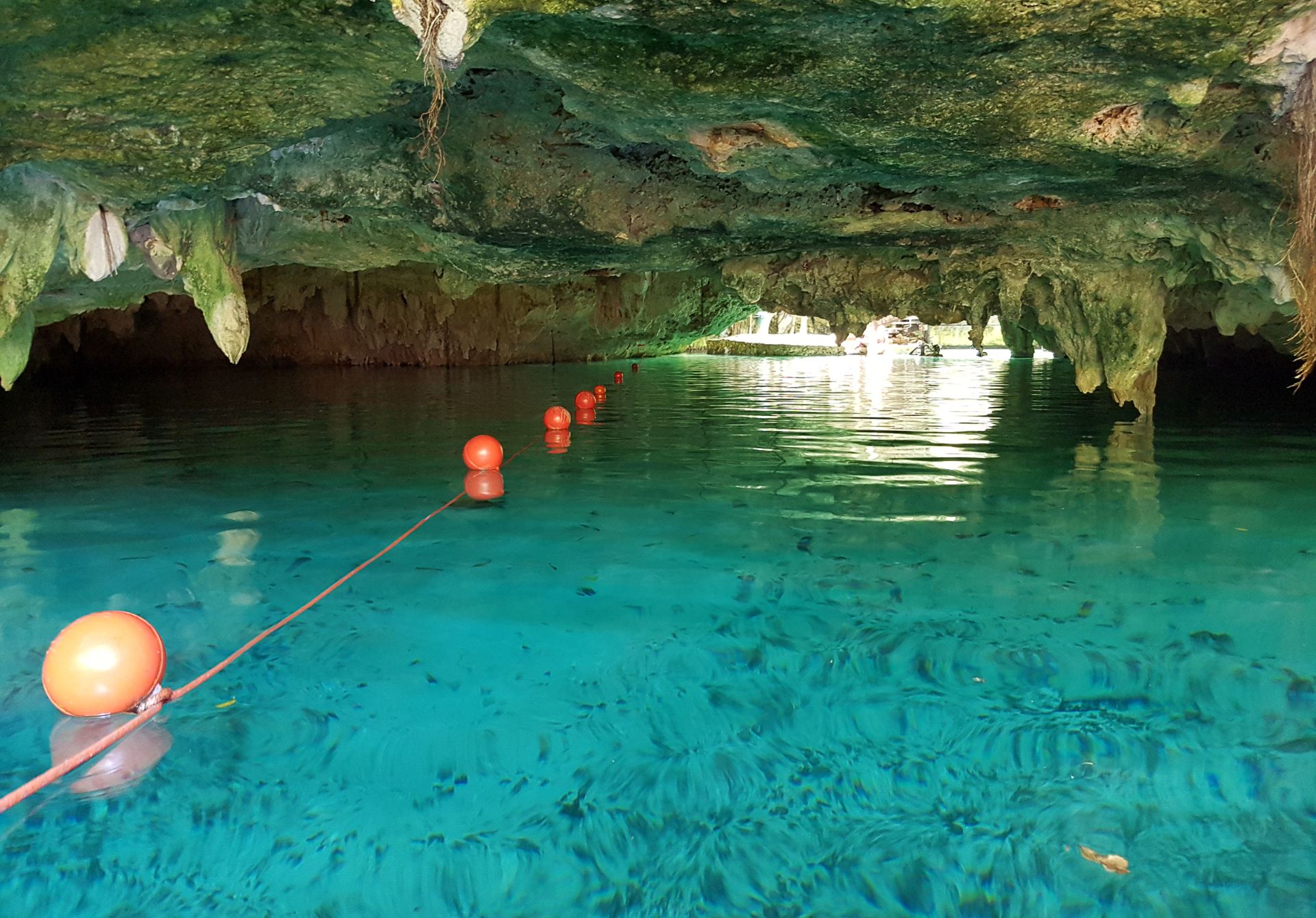 Gran Cenote